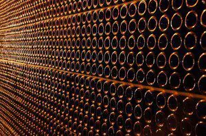 Tiloom - Agriculture and Viticulture - Viticultura 3 300x199 Viticulture 3
