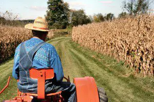 Tiloom - Agriculture and Viticulture - hombreYtractor 300x200 Dans les champs