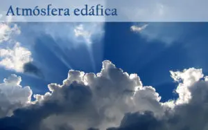Tiloom - Atmósfera Edáfica - AtmosferaEdáfica