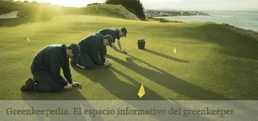 Tiloom - Lancement de Greenkeepedia - greenkeeper453542 m
