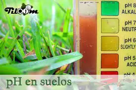 Tiloom - pH y alcalinidad de suelos - ph en suelo