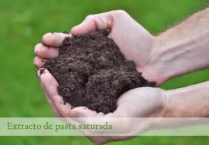 Tiloom - Extracto de pasta saturada - soil sample scaled