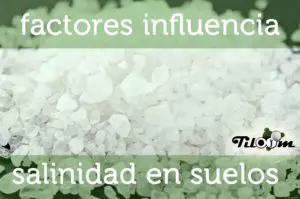 Tiloom - Factors affecting salt accumulation in soils - salt m
