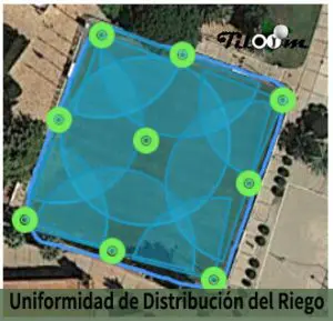 Tiloom - Uniformità dell'irrigazione - DU