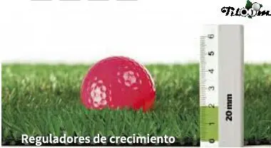 Tiloom - Reguladores de Crecimiento - Reguladores de crecimiento