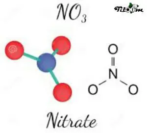 Tiloom - Nitratos - Nitrato
