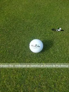 Tiloom – Degree Days – Seed Suppression in Poa annua Greens – 20170221 151346 5 scaled
