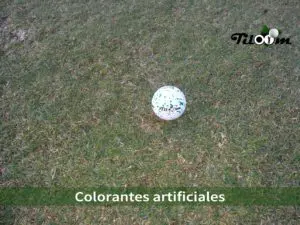 Tiloom – Artificial colourants: effects on grass and soil – Colourants2 1 scaled
