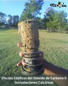 Tiloom – Soil Effects of Carbon Dioxide II: Calcareous Deposits – EEII