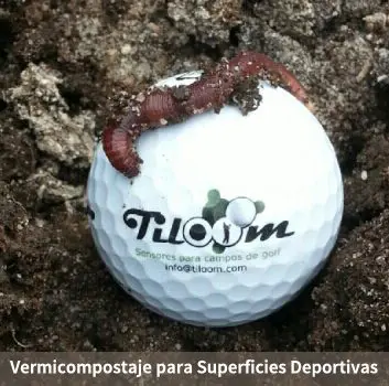 Tiloom – Wurmkompostierung für Sportplätze – Wurmkompostierung für Sportplätze