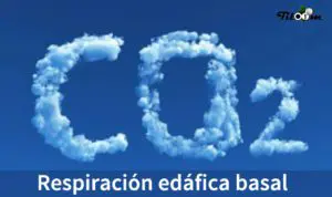 Tiloom - Respirazione edafica basale - resp. edaf