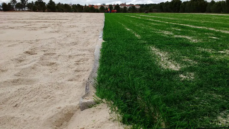 Césped con alfombra de fibras sintético