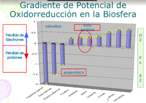 Tiloom - REDOX PROCESSES - Oxidation-reduction gradient Tiloom - REDOX PROCESSES - Oxidation-reduction gradient