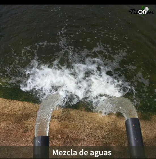 Tiloom - Mezcla de Aguas - Mezcla de aguas