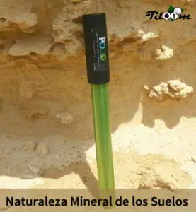 Tiloom – Mineralische Beschaffenheit der Böden – Natur der Böden