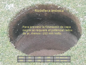 Tiloom - REDOX PROCESSES - Ferrous reduction – black coating Tiloom - REDOX PROCESSES - Ferrous reduction – black coating