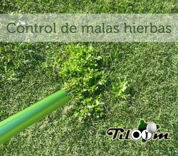 Tiloom - مكافحة الأعشاب الضارة - ControlMalasHierbas المرجع F
