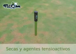 Tiloom - Agentes tensioactivos I. Secas "Localized Dry Spot" - SecasYAgentesTensioactivos