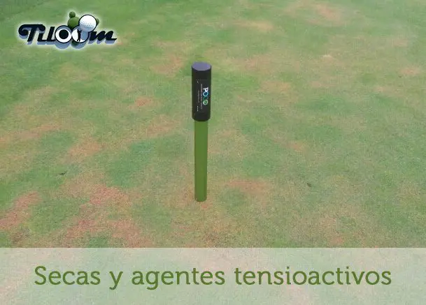 Tiloom - المواد الخافضة للتوتر السطحي I. البقع الجافة الموضعية "Localized Dry Spot" - البقع الجافة والمواد الخافضة للتوتر السطحي