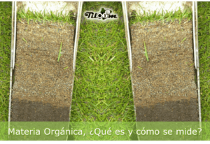 Soil profile sample