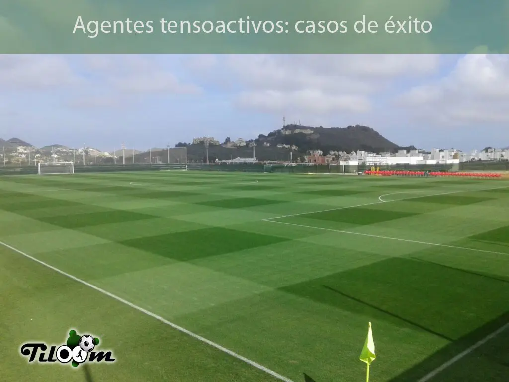 Tiloom - Agentes tensoactivos III. Casos de éxito - Agentes tensoactivos casosExito