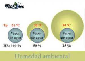Tiloom - Conceptos metereologicos I. Humedad Ambiental - HumedadAmbiental