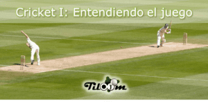 Understanding the game of cricket