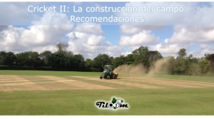 How is a cricket pitch built? Recommendations