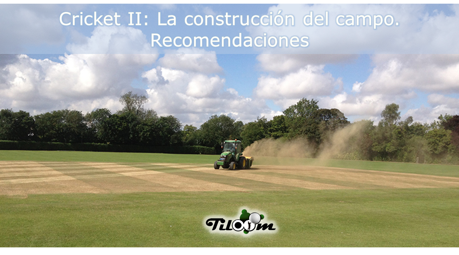 How is a cricket pitch built? Recommendations