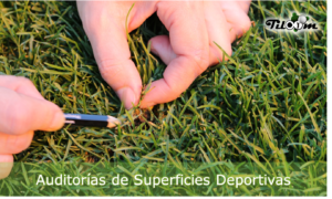 Audit delle superfici sportive