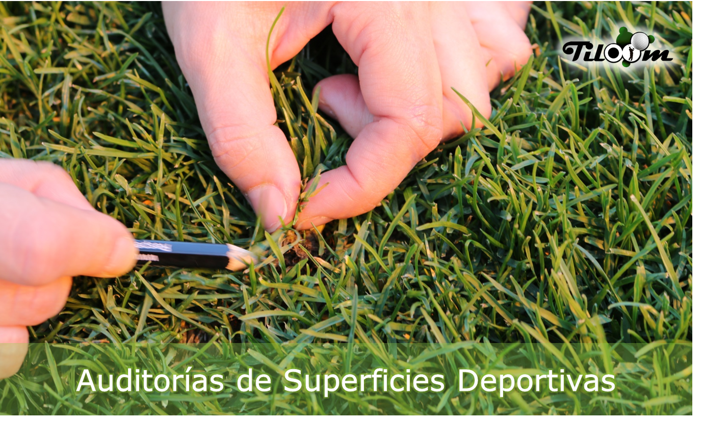 Audit delle superfici sportive