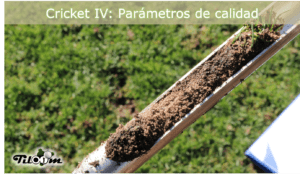 La qualité des terrains de cricket