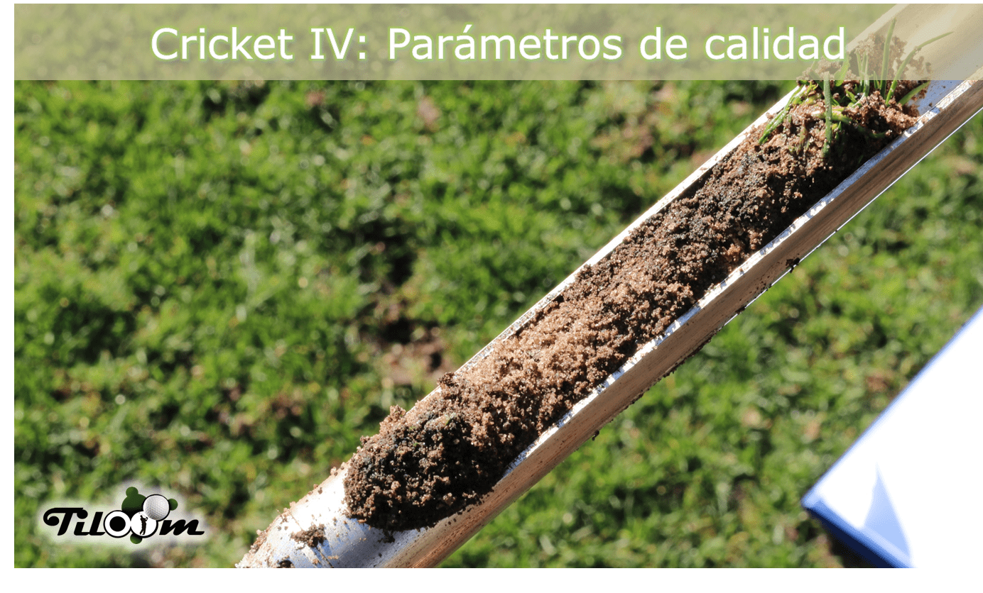 La qualité des terrains de cricket