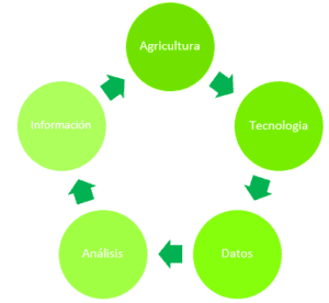 Retour d'information dans l'agriculture. Retour d'information dans l'agriculture.