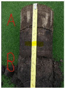 Tiloom - Big Data II: Applications that transform sports surfaces - Profile ab