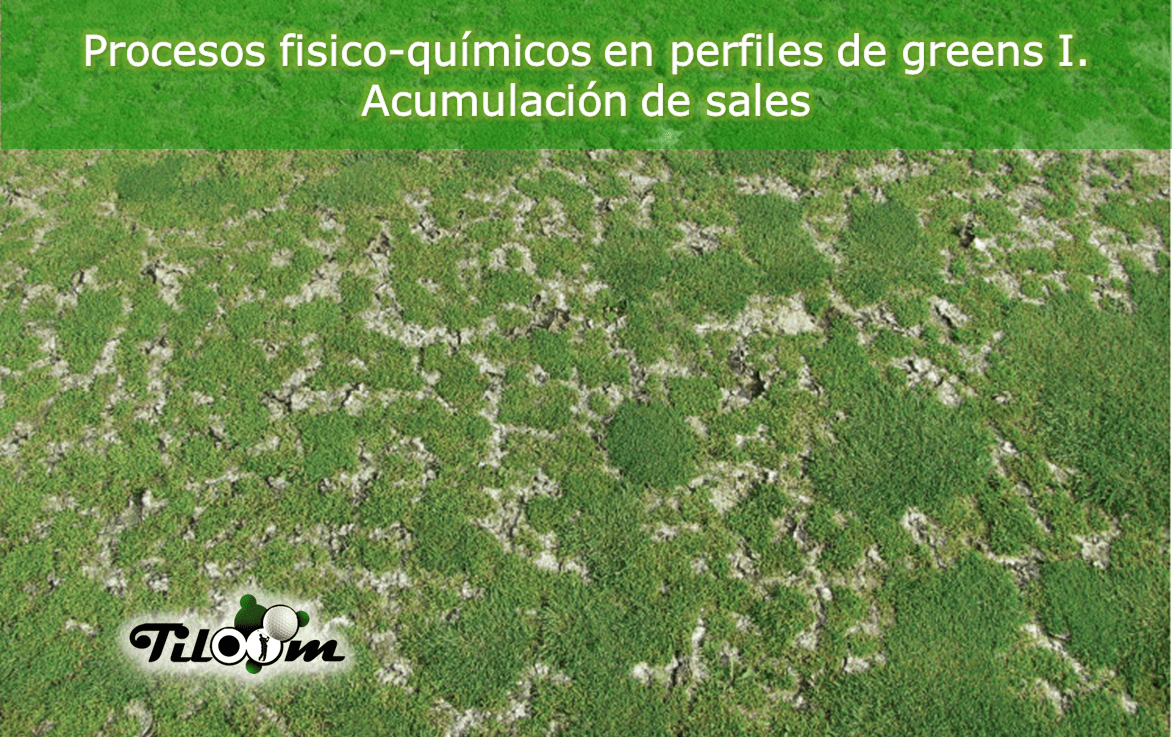 Tiloom - Procesos fisico-químicos en perfiles de greens I Acumulación de sales - salv2 1