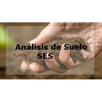 Tiloom - Análisis laboratorio suelo en extracto saturado SES - ASES 1 1