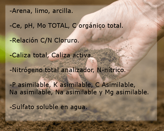 Tiloom - Análisis laboratorio suelo simple SS - SS