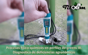 Tiloom - Processos físico-químicos em perfis de greens III. Diagnóstico de deficiências agronómicas - soilstick1