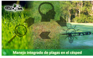 Manejo Integrado de plagas