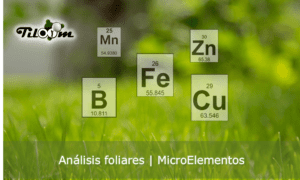 Manganês ferro boro zinco cobre