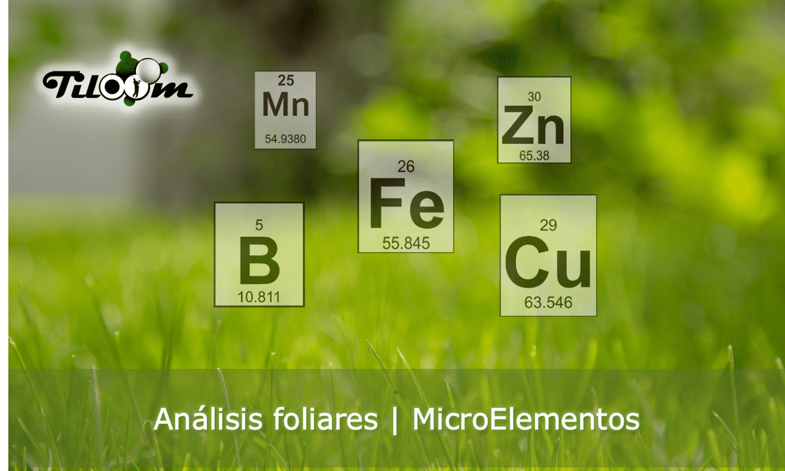 Manganese ferro boro zinco rame