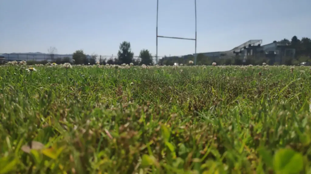 Tiloom - Valutazione delle superfici sportive - Immagine WhatsApp del 22 luglio 2019 alle 16:12:51