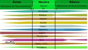 Tiloom - Analisi fogliare dei microelementi: individua e corregge le carenze - phsuelo