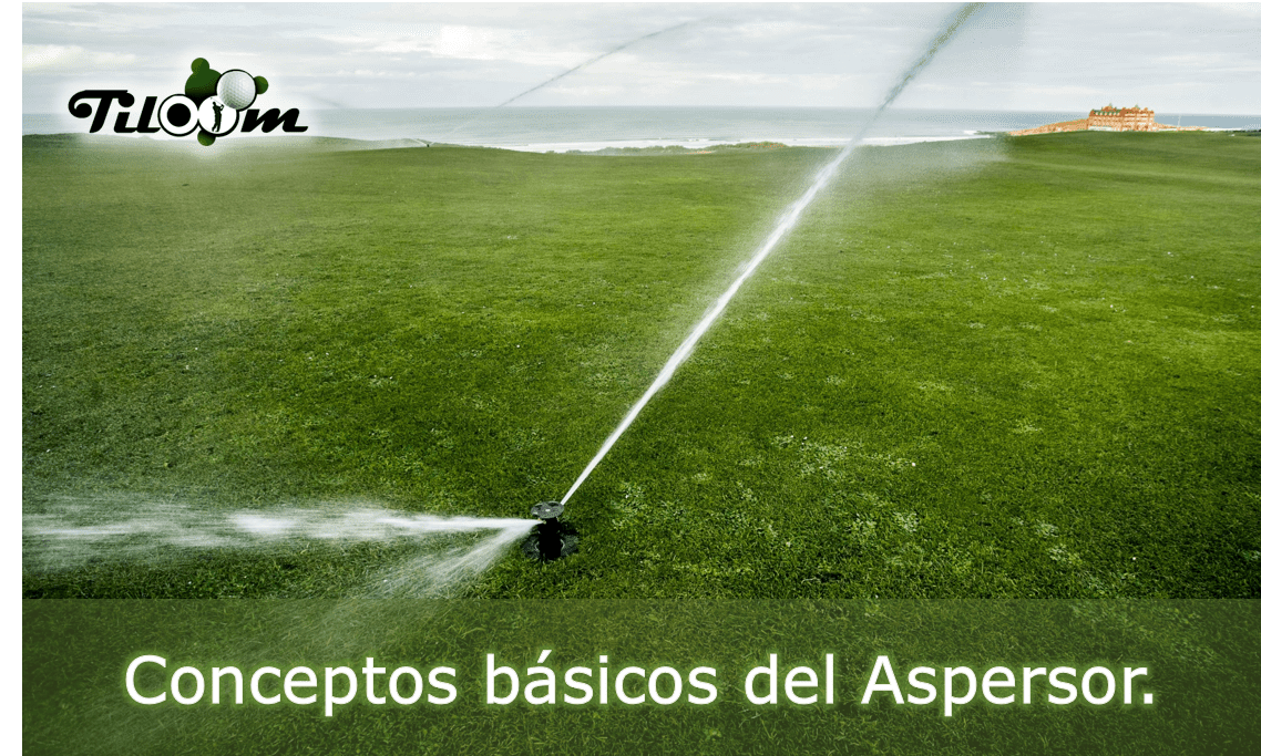 Home. Sprinkler basics