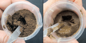 Tiloom - Carbonato sódico residual: parámetro clave en aguas de riego - Left A well structured soil wetted from below and unstructured soil right with same