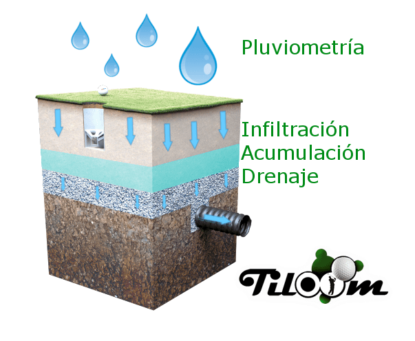 Tiloom – Das USGA-Profil und die Versickerung – greenusga 1 Tiloom – Das USGA-Profil und die Versickerung – greenusga 1