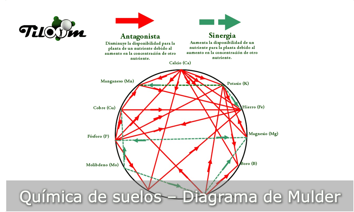 Mulder-Diagramm