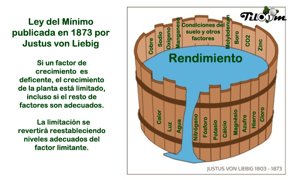 Tiloom - Ley del Mínimo de Liebig: la clave en nutrición de cultivos - ley del mínimo Tiloom - Ley del Mínimo de Liebig: la clave en nutrición de cultivos - ley del mínimo