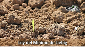 Portada de la entrada de blog Ley del mínimo de liebig